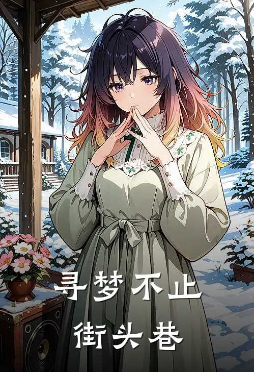 寻梦不止街头巷